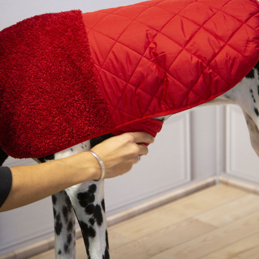 Outech Bi-Texture Casaco Vermelho para c&atilde;es, , large Imagem n&uacute;mero 7